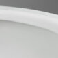 Dometic MasterFlush 8500 Toilet Bowl Detail