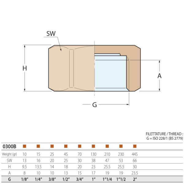 Guidi Cap Bronze Pipe Fitting 0300B-01 Size Chart and Dimensions Diagram - Aquastar Distributors Guidi Cap Bronze Pipe Fitting 0300B-01 Size Chart and Dimensions Diagram - Aquastar Distributors