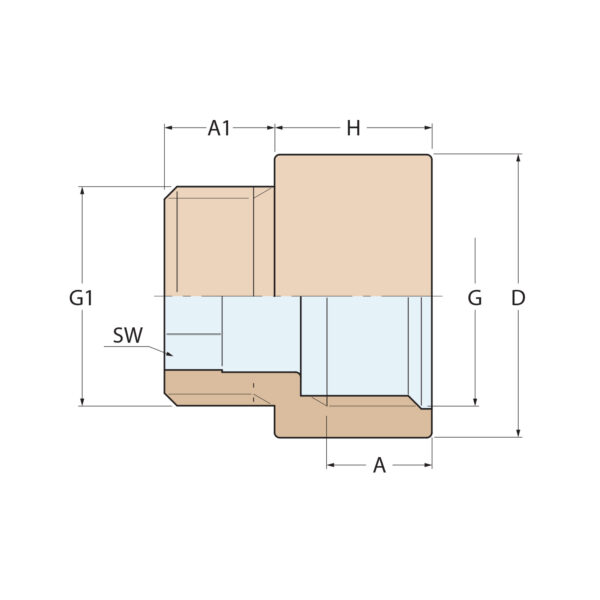 Guidi Male to Female Extension Bronze Pipe Fitting 0550B-01 Dimensions Diagram - Aquastar Distributors Guidi Male to Female Extension Bronze Pipe Fitting 0550B-01 Dimensions Diagram
