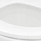 Deep Toilet Rim Cleaner